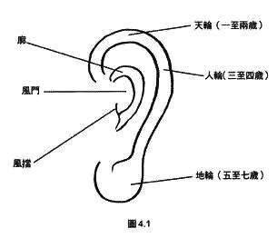 耳垂有線面相|從耳朵看面相｜5點耳朵形狀及特徵，一窺性格與運